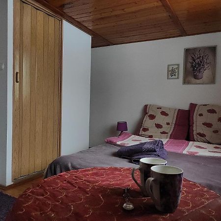 Home Stay Slotwinska Krynica-Zdrój Kültér fotó