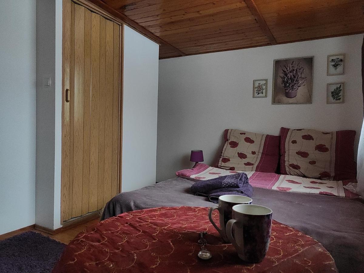Home Stay Slotwinska Krynica-Zdrój Kültér fotó